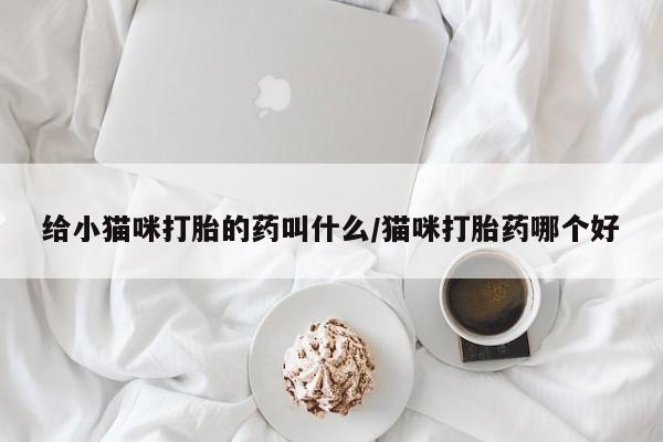 打胎药微信购买官方正品给小猫咪打胎的药叫什么/猫咪打胎药哪个好