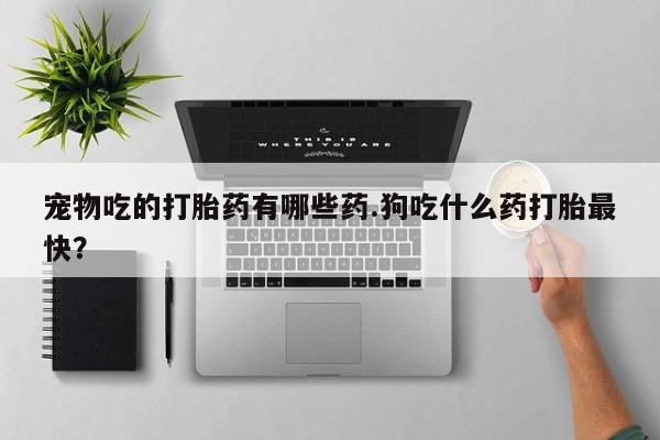 打胎药微信购买官方正品宠物吃的打胎药有哪些药.狗吃什么药打胎最快？