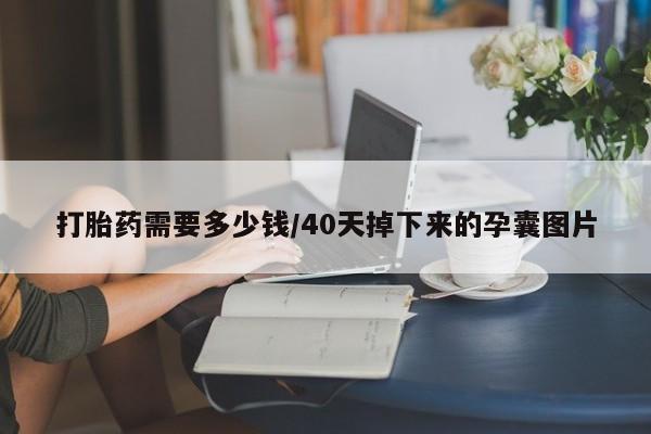打胎药微信购买官方正品打胎药需要多少钱/40天掉下来的孕囊图片